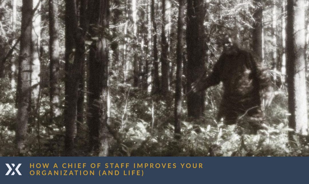 How a Chief of Staff Improves Your Organization (and Life)
